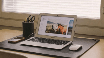 Bookshelf - professional stock photography