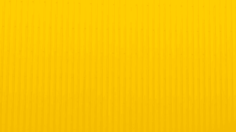 Bookshelf - professional stock photography