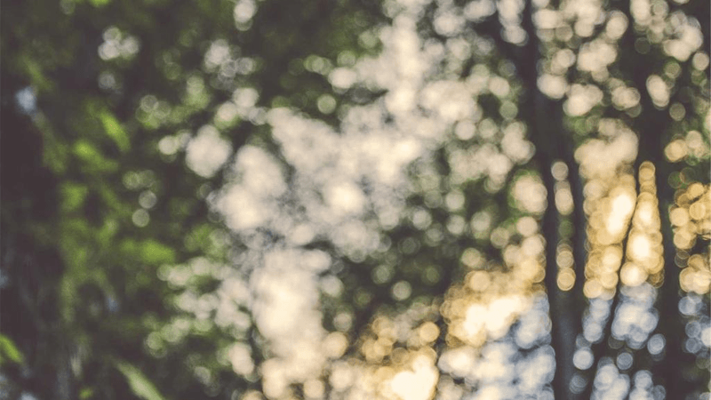Bookshelf - professional stock photography