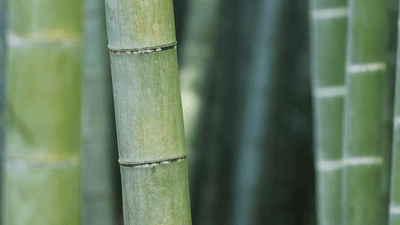 Chair - professional stock photography