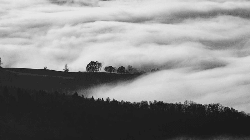 Cushion - professional stock photography