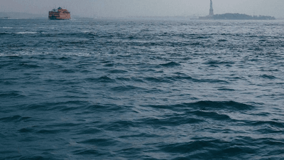 Garden - professional stock photography