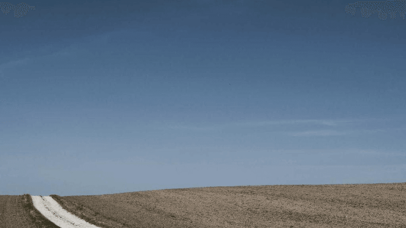 Mirror - professional stock photography