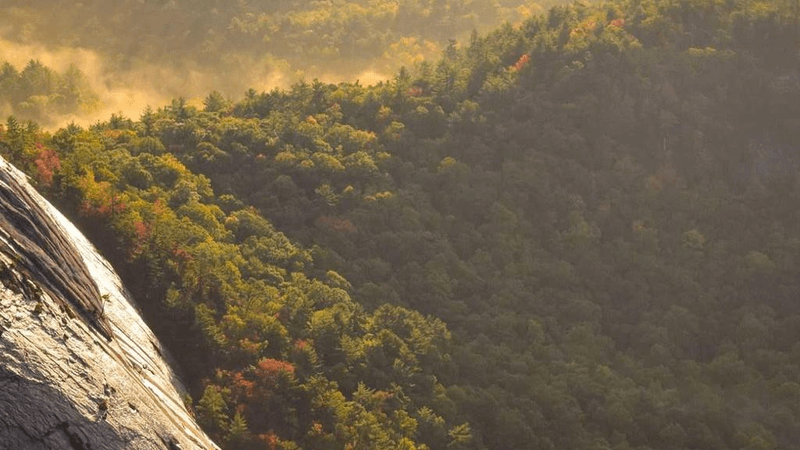 Painting - professional stock photography