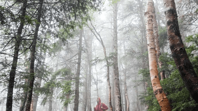 Plants - professional stock photography