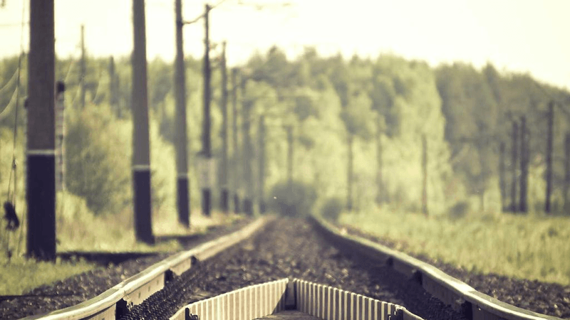 Plants - professional stock photography