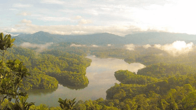 Rug - professional stock photography