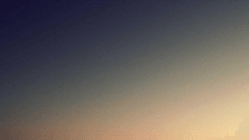 Rug - professional stock photography