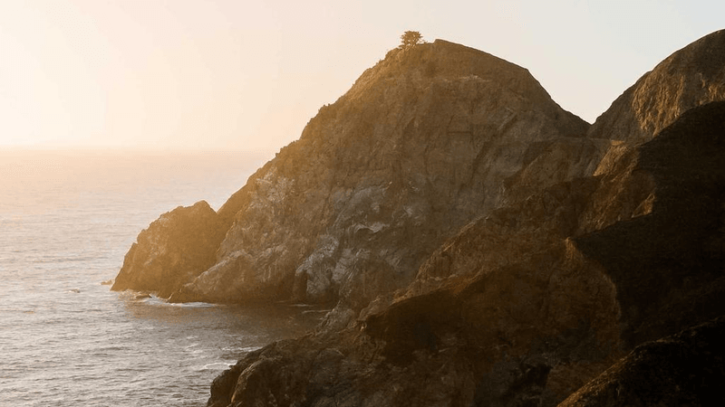 Shelf - professional stock photography