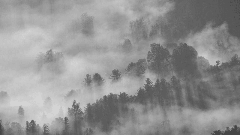 Wallpaper - professional stock photography