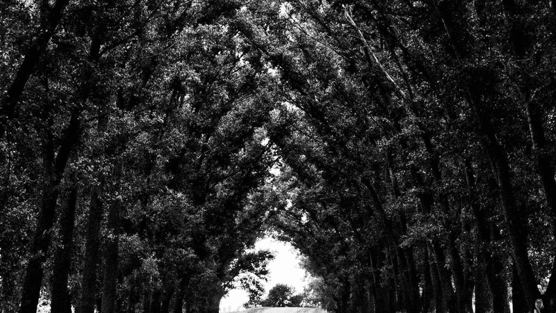 Wallpaper - professional stock photography